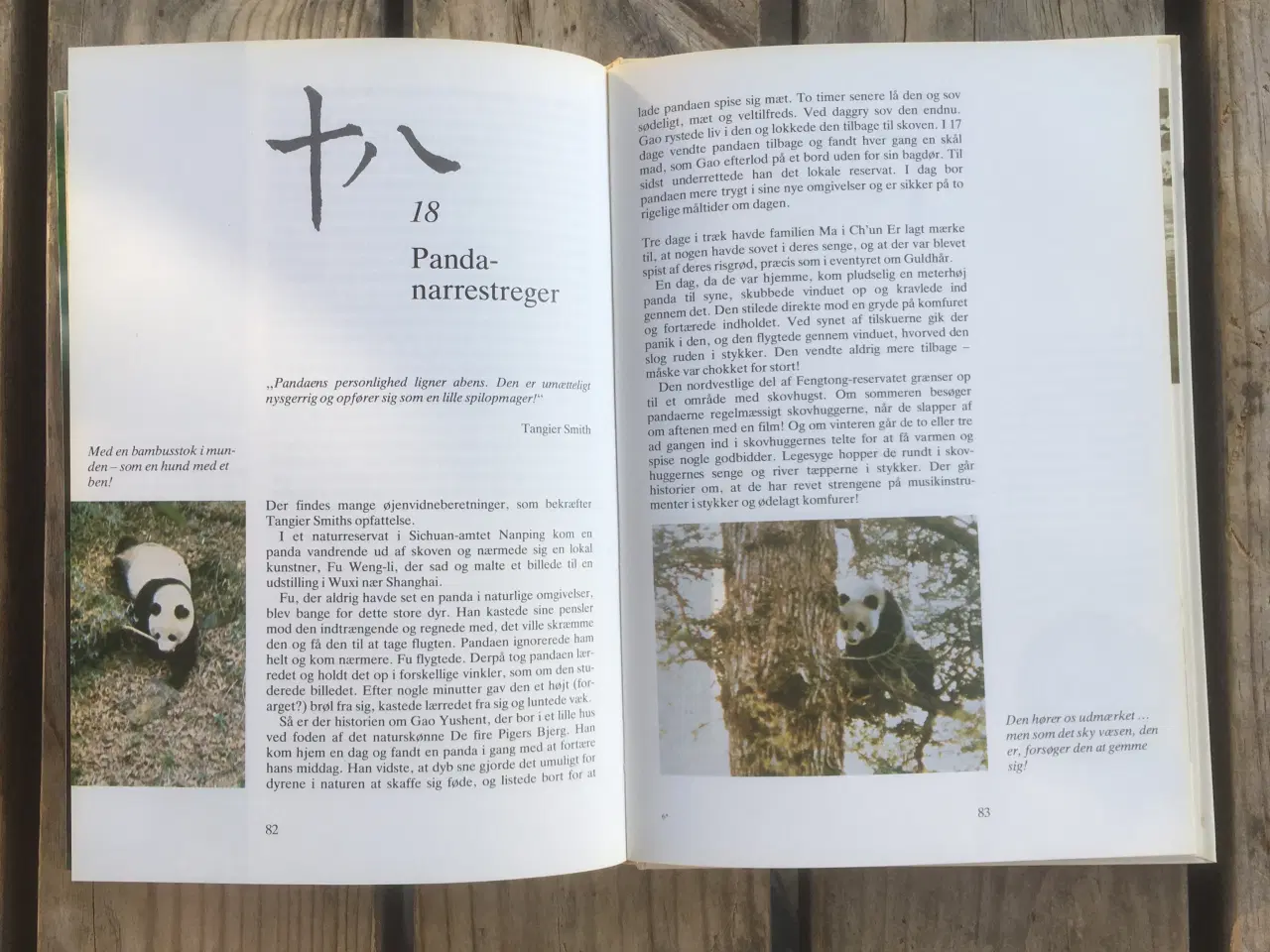 Billede 4 - Den fantastiske store panda, Michael de Havilland