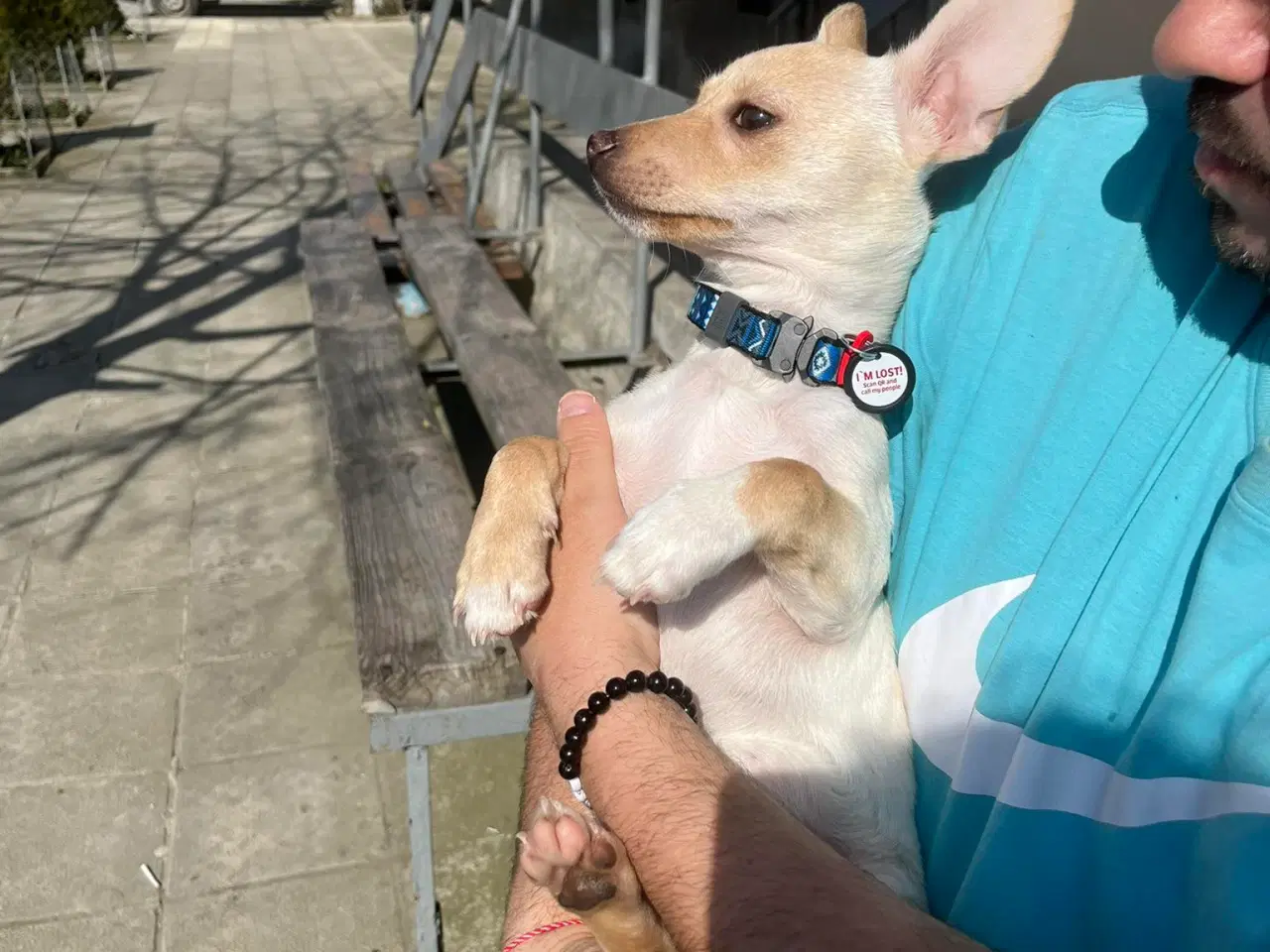 Billede 12 - Lille Mille 🩷