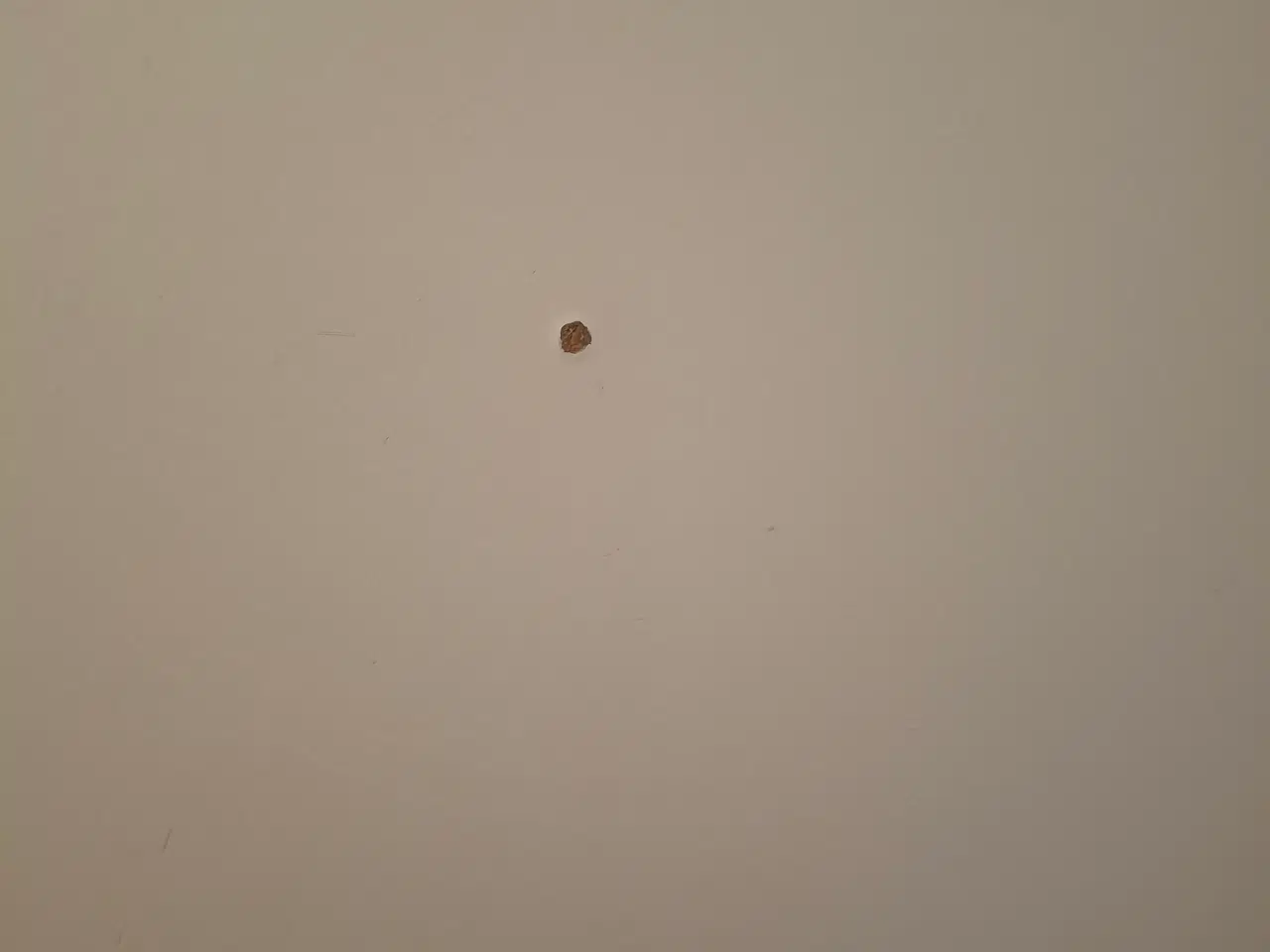 Billede 6 - Spisebord hvidmalet