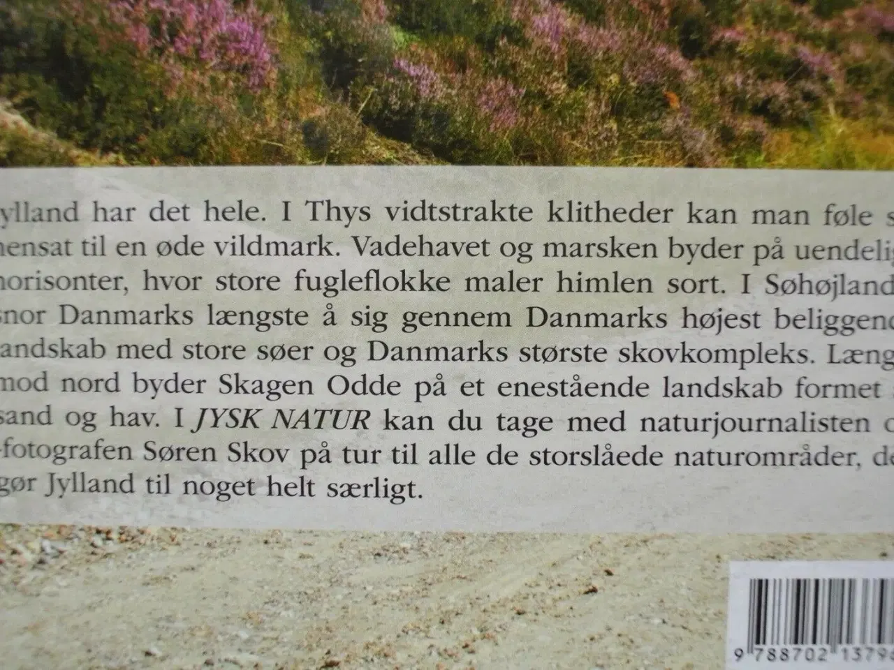 Billede 2 - jysk natur, af søren skov