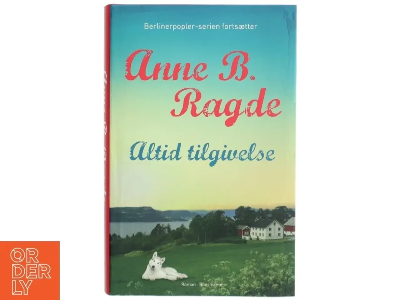 Billede 1 - Altid tilgivelse af Anne B. Ragde (Bog)