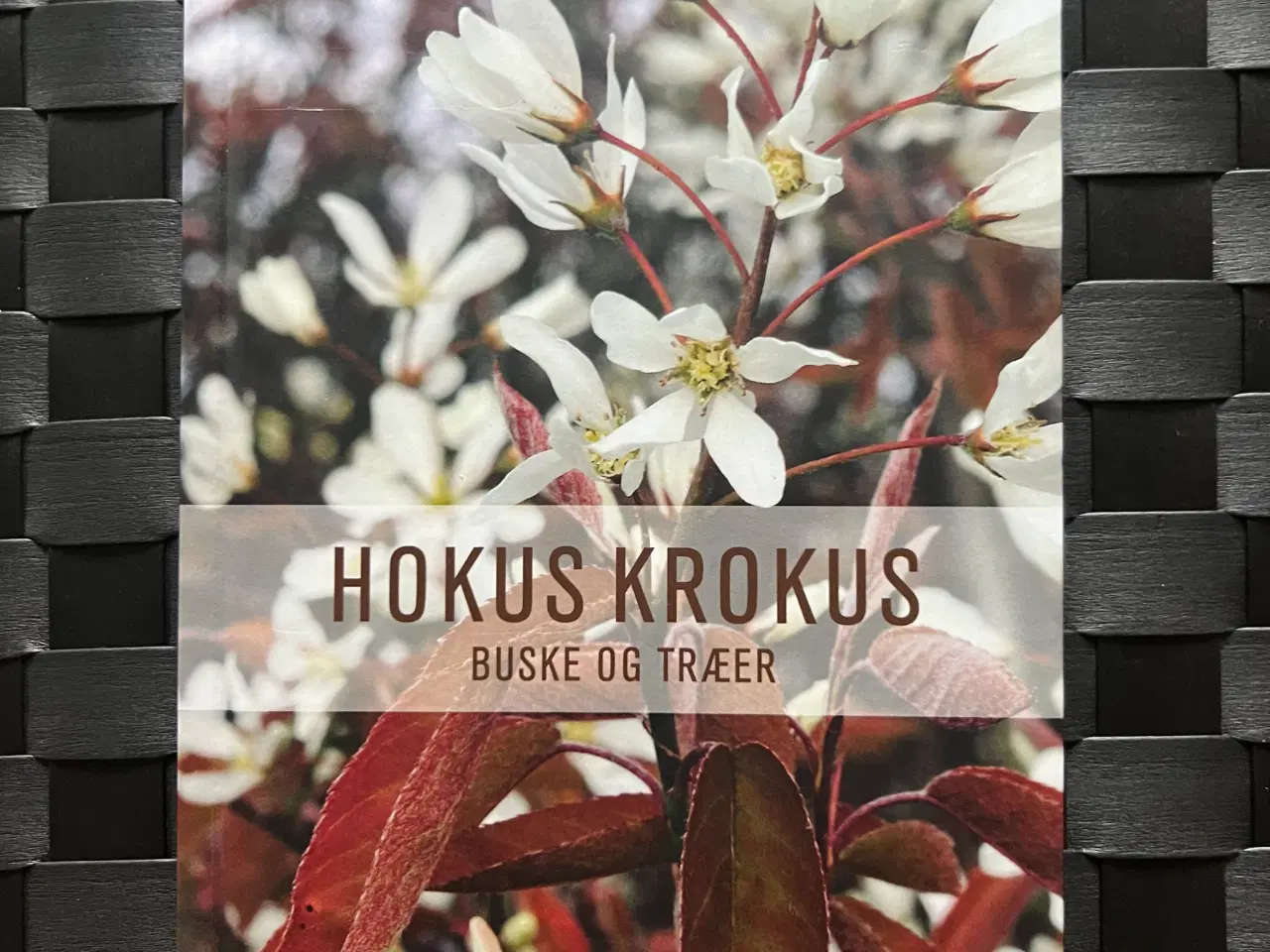 Billede 1 - Havebog “Hokus krokus - Buske og træer”