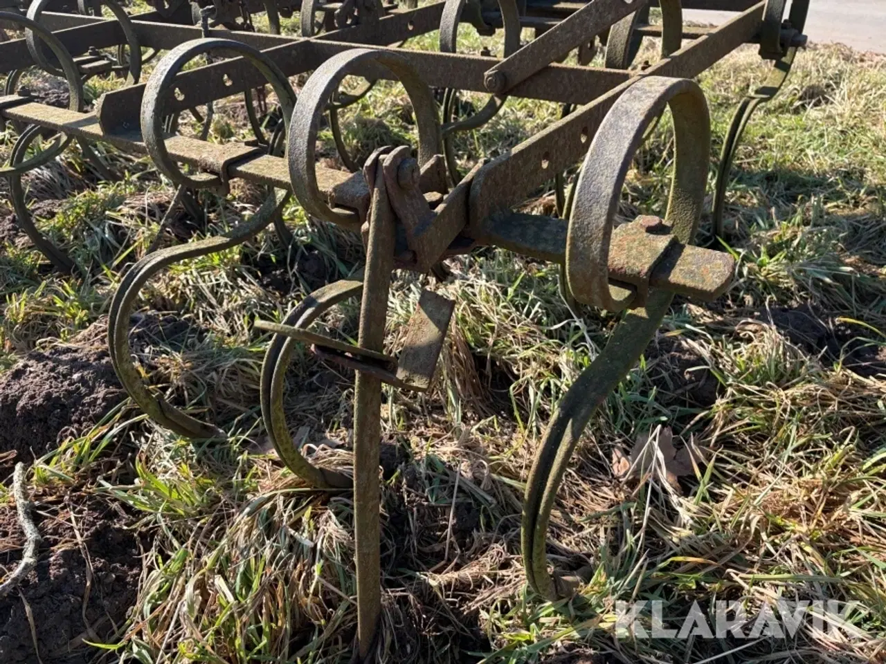 Billede 2 - Markharve / ringharve