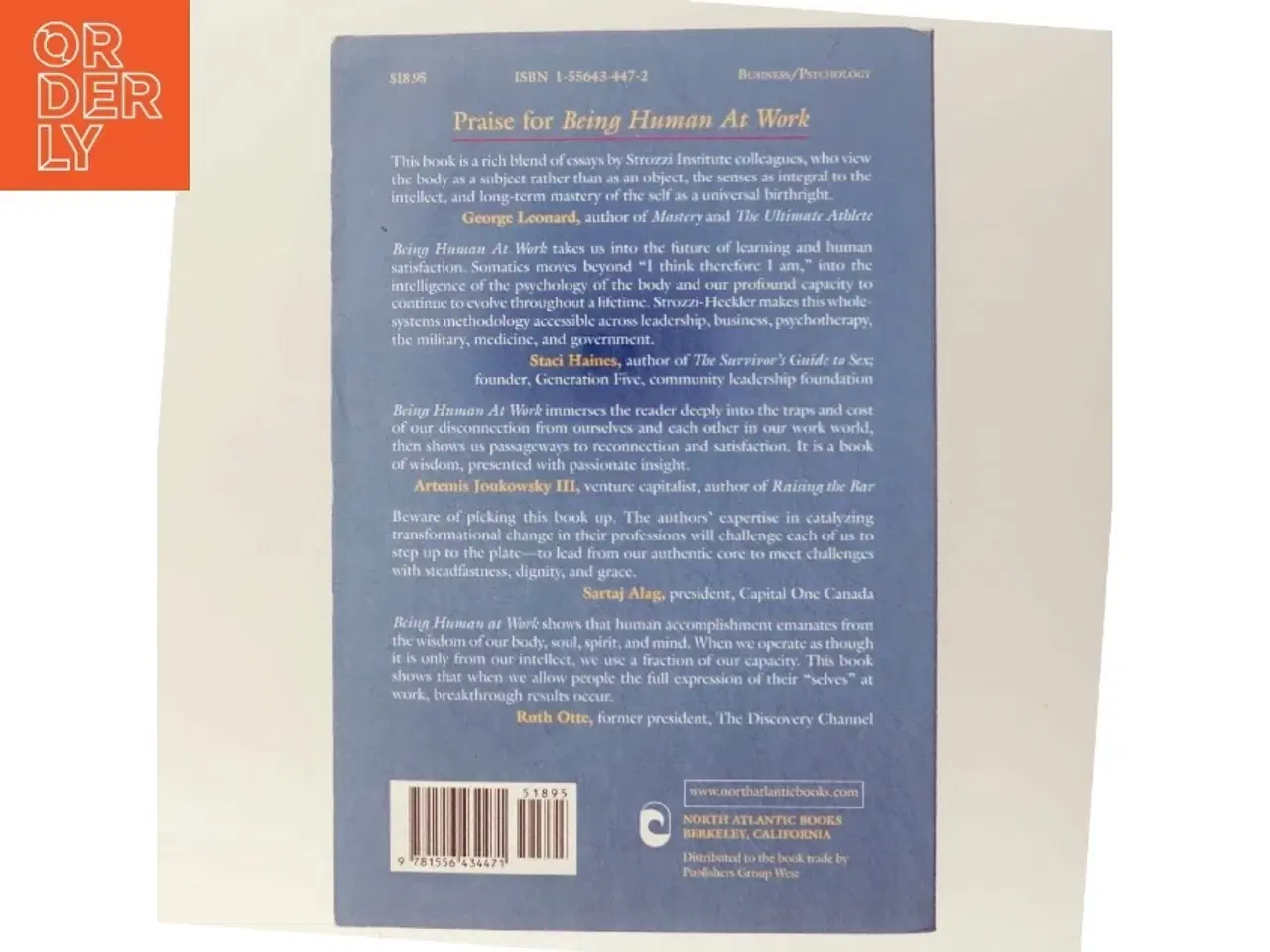 Billede 3 - Being Human at Work af Richard Strozzi-Heckler (Bog)