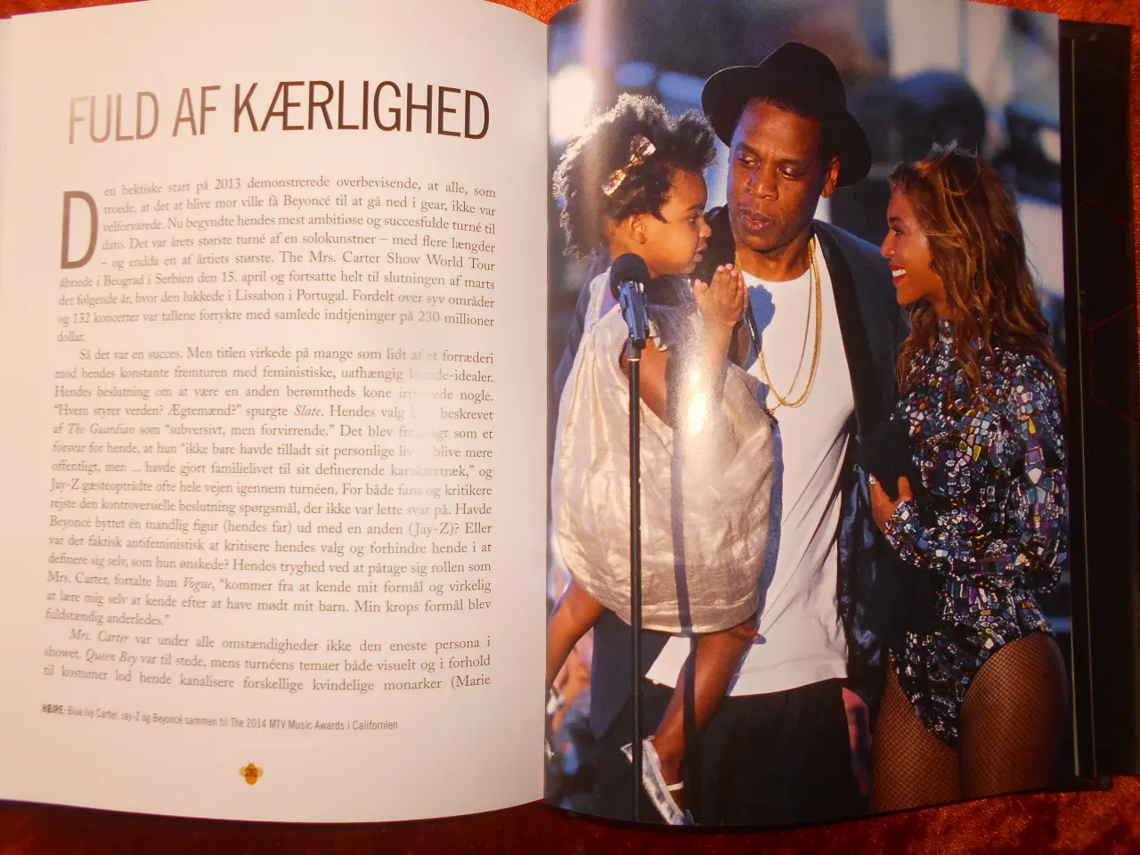 Billede 3 - Beyoncégrafika, Chris Roberts,