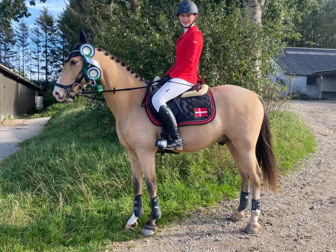 Billede 2 - Pony kat1