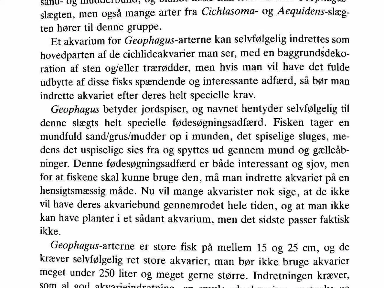 Billede 6 - Cichlide-akvarier Benny B. Larsen 