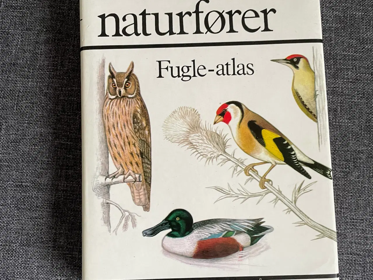 Billede 1 - Fugle -atlas , Lademanns naturfører