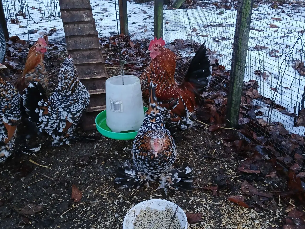 Billede 1 - Millefleur. 