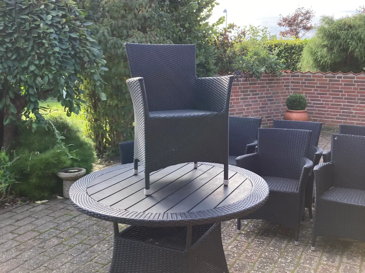 Billede 2 - 🟢Havemøbelsæt Rattan Rundt Bord med 8 Stole