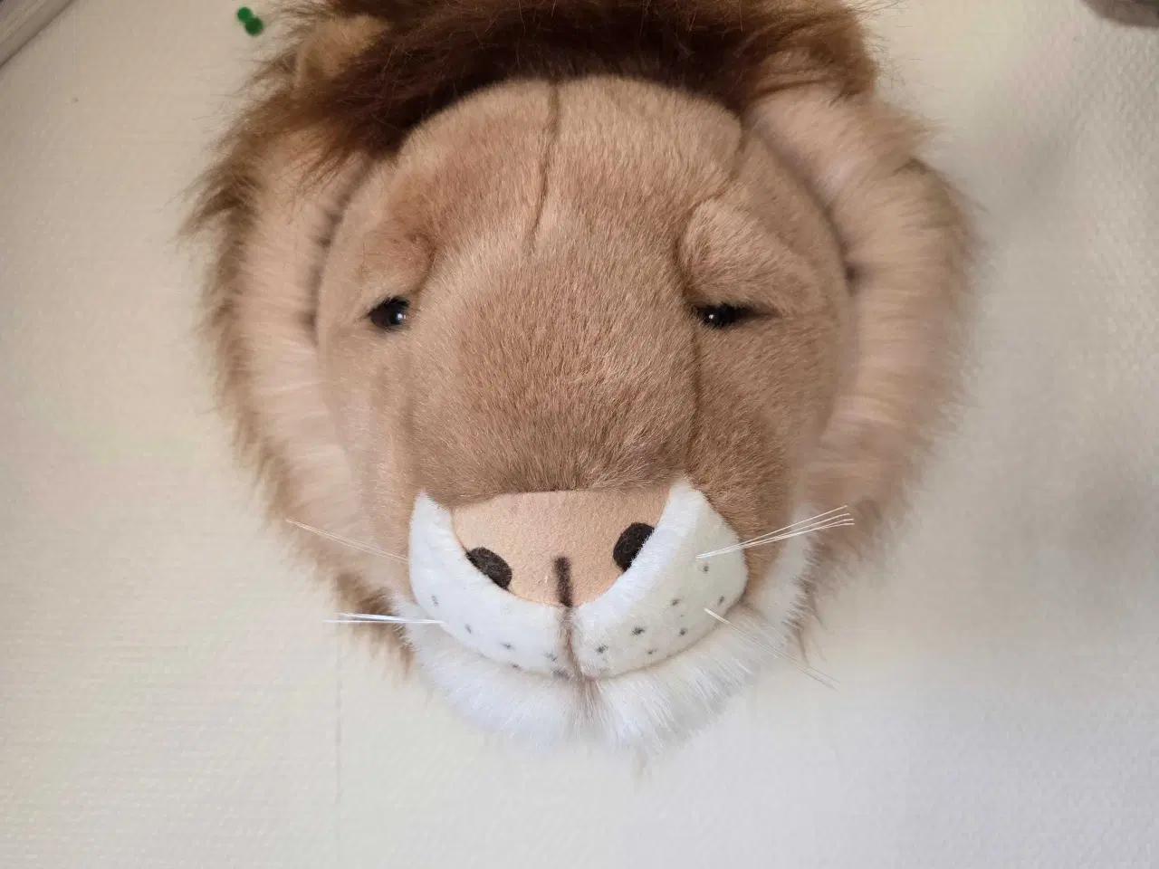 Billede 3 - Elefant og Løve trofæ