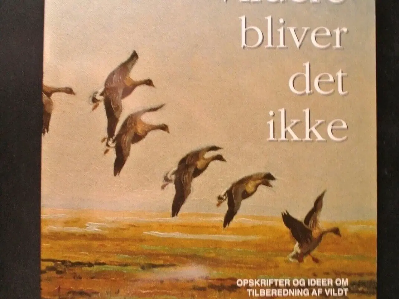 Billede 1 - vildere bliver det ikke - opskrifter og ideer om ,