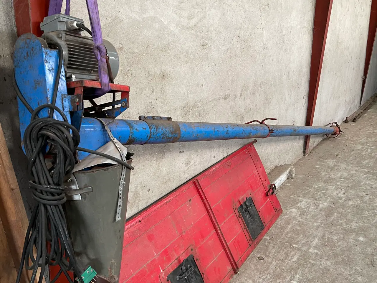 Billede 1 - Kornsnegl ca. 5 meter