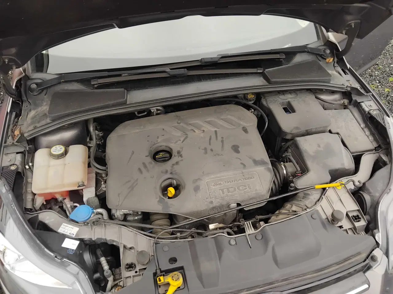 Billede 10 - Ford Focus 1,6 TDCI stc.