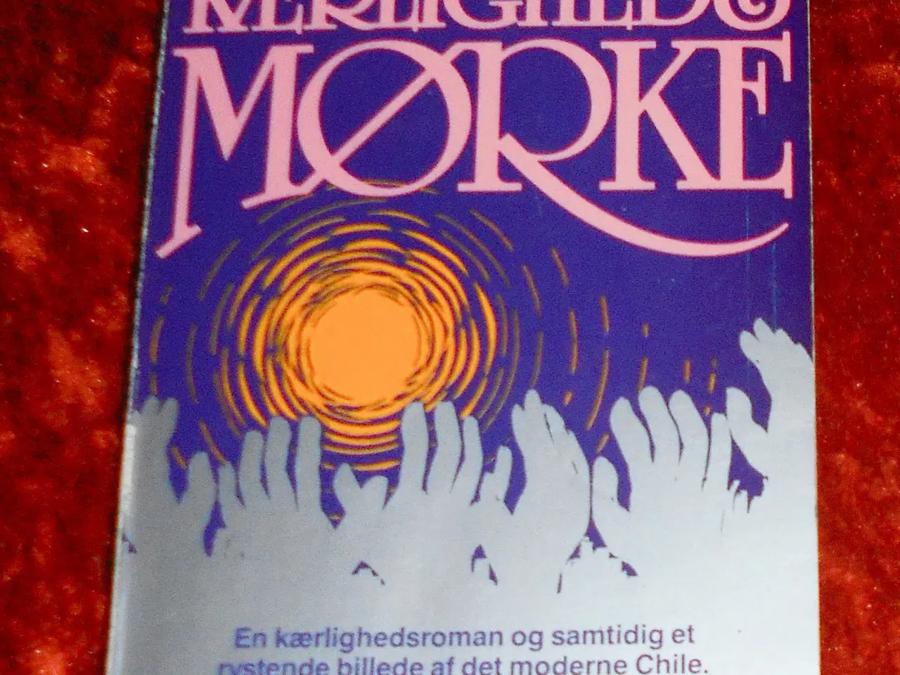 Billede 6 - Portræt i Sepia m.fl., Isabel Allende