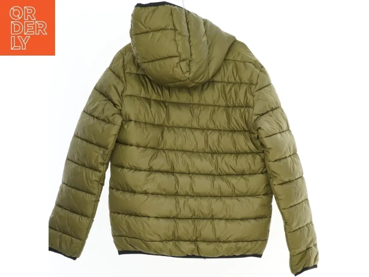 Billede 2 - Vatteret jakke med hætte fra Champion (str. L)