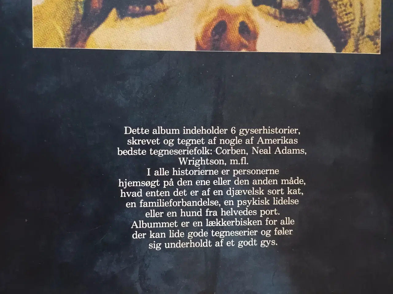 Billede 2 - Gyserhistorier, Hjemsøgt. Tegneserie, sort/ hvid.