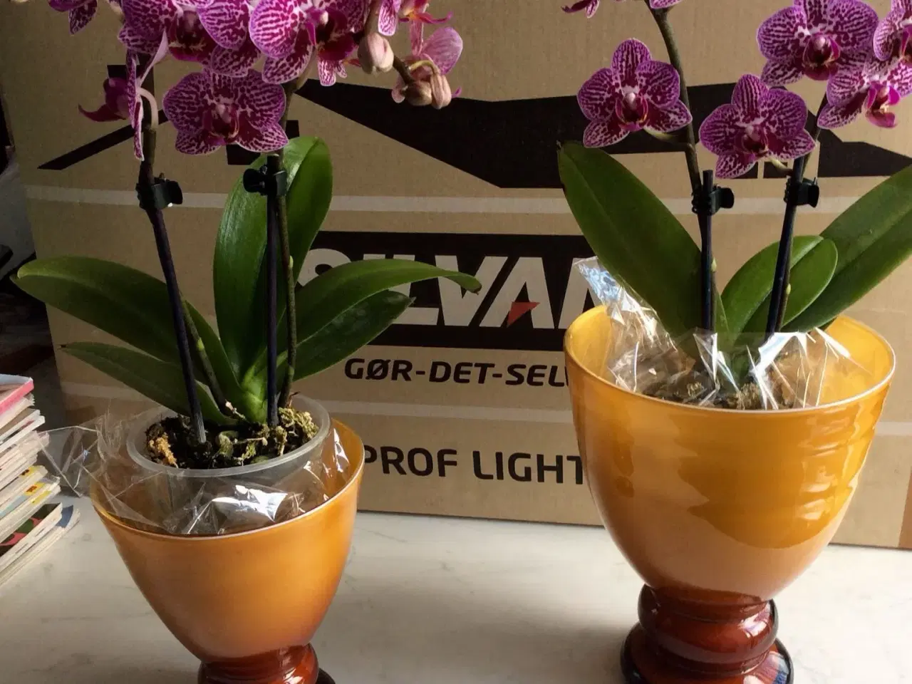 Billede 1 - Glas til Orkideer.Blomster.