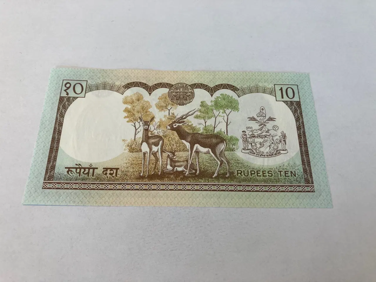 Billede 2 - 10 Rupees Nepal