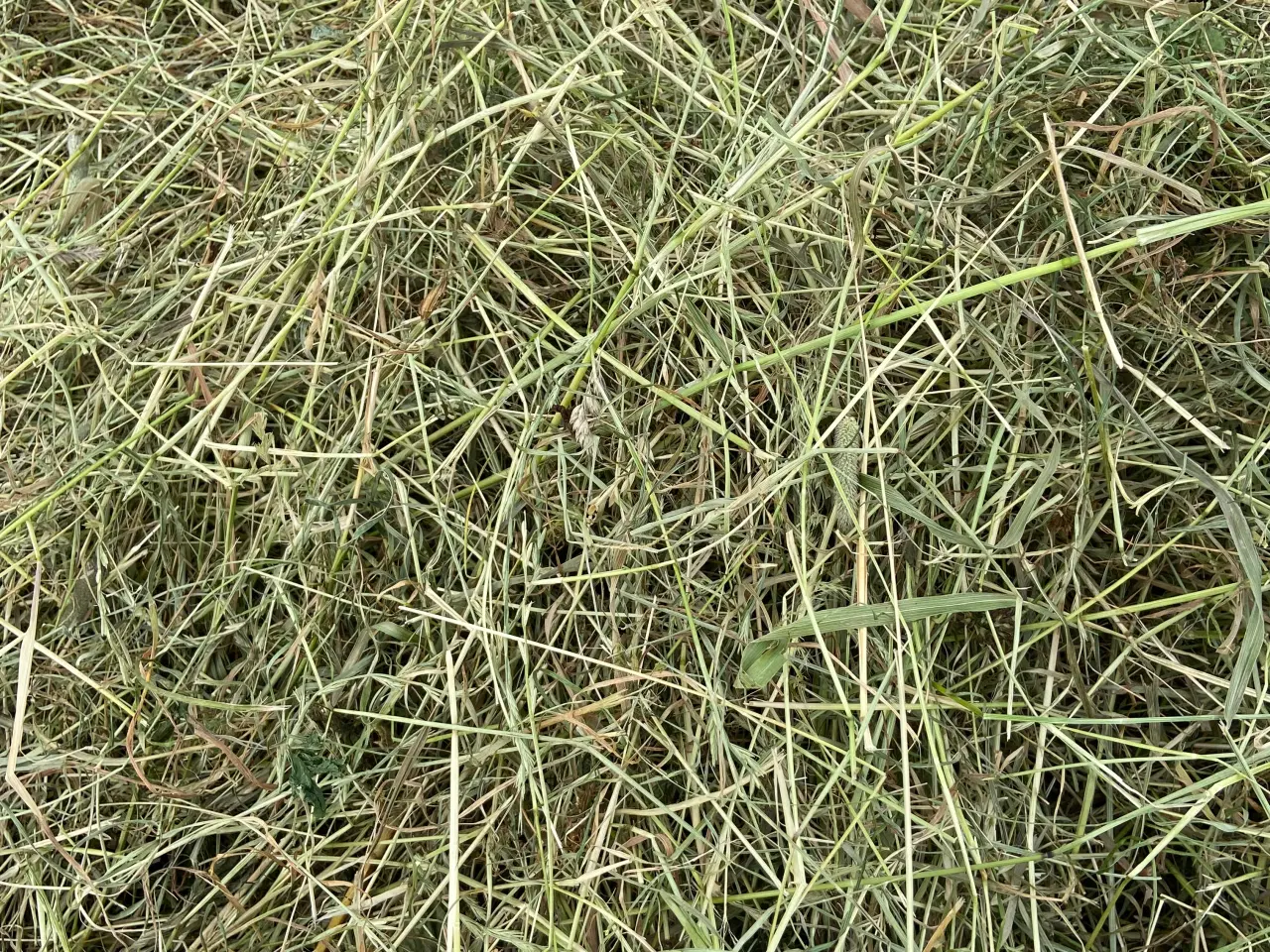 Billede 1 - Skårlægger 3 meter