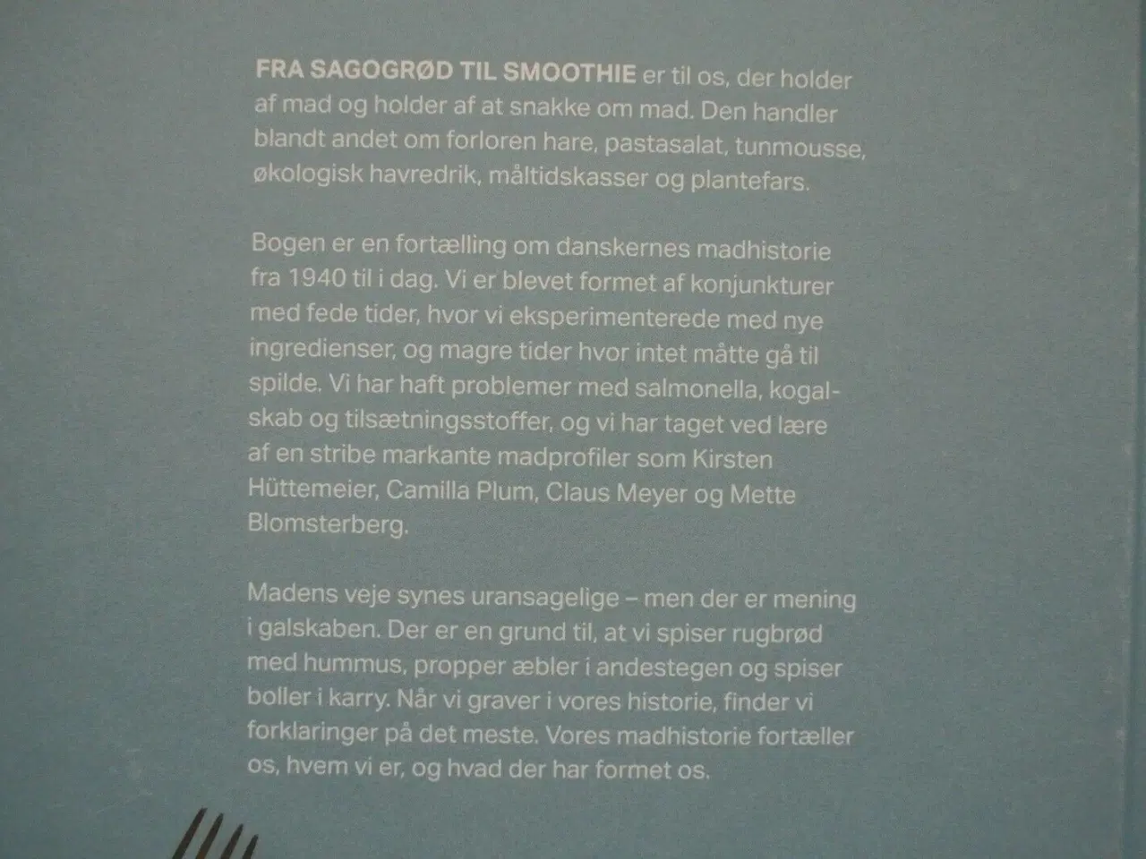 Billede 4 - fra sagogrød til smothie, af inger abildgaard, emn