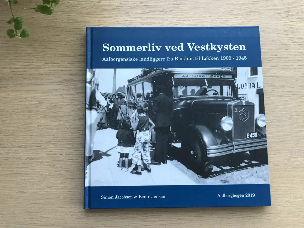 Billede 1 - Sommerliv ved Vestkysten - Aalborgbogen 2019