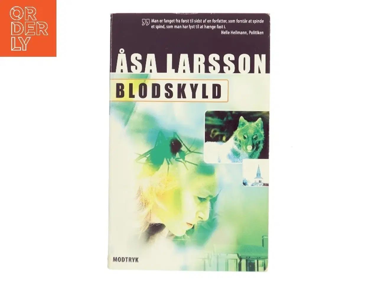 Billede 1 - Blodskyld af Åsa Larsson (Bog)