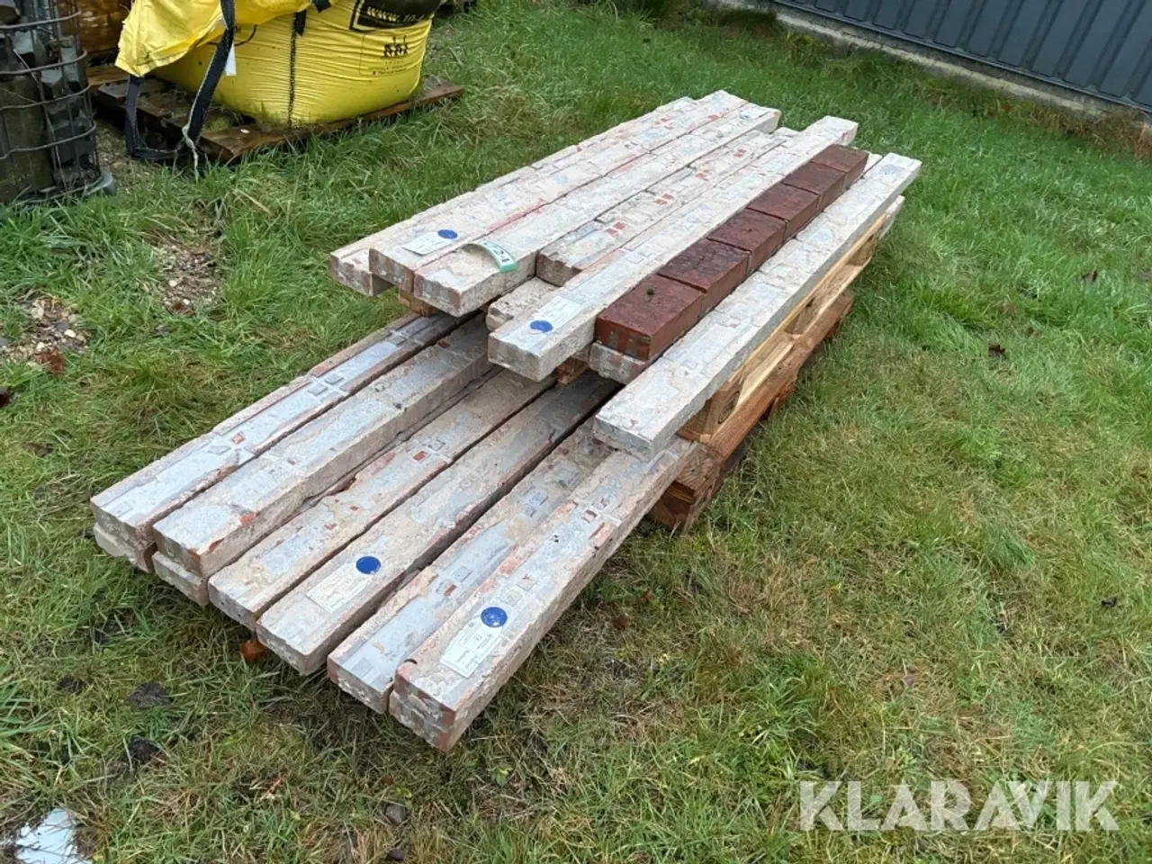 Billede 2 - Overlæggere 21 styk