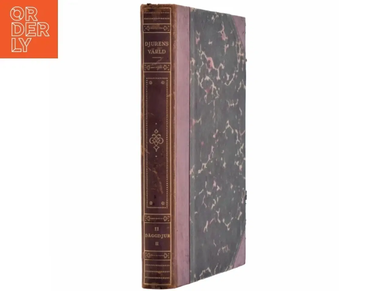 Billede 2 - Djurens värld