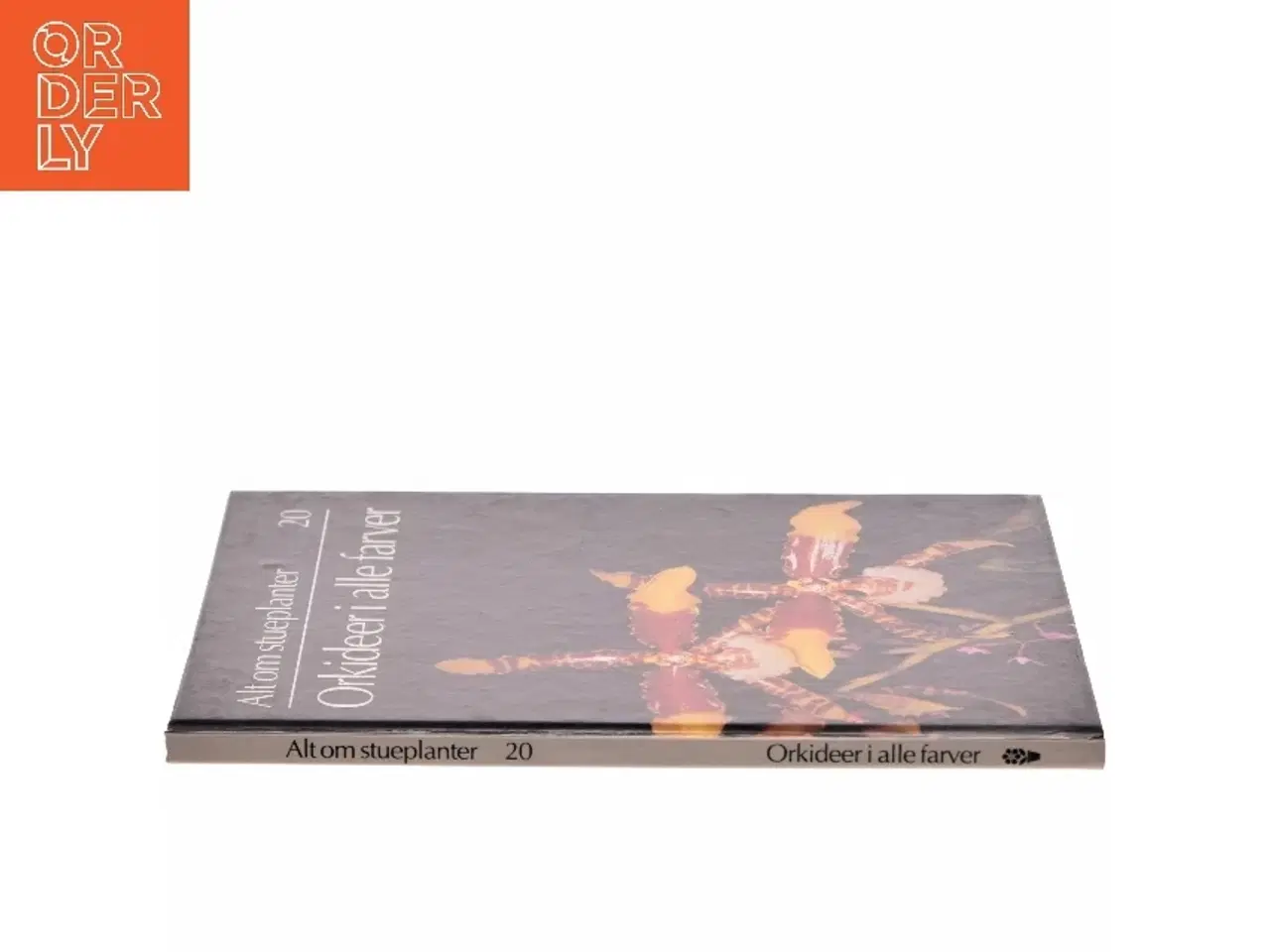 Billede 2 - Orkideer i alle farver (Bog)