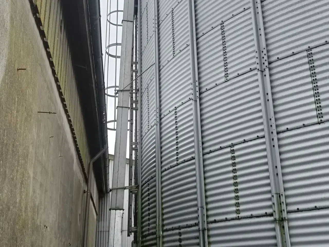 Billede 5 - - - - Dancorn Sukup 1.000 tons