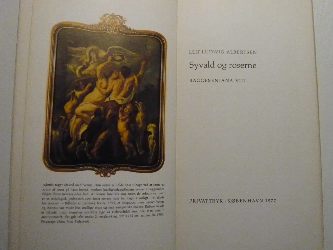 Billede 2 - Syvald og roserne af Leif Ludwig Albertsen