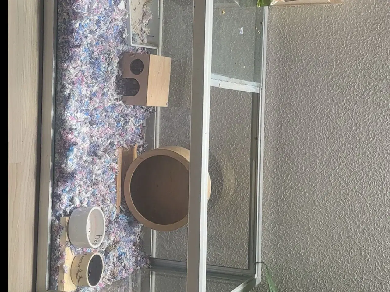 Billede 1 - Hamster bur/hamster