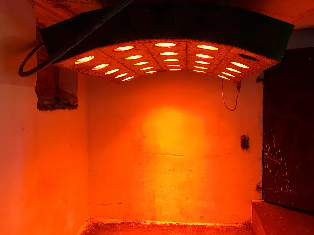 Billede 3 - Solarium Horsetrainer 