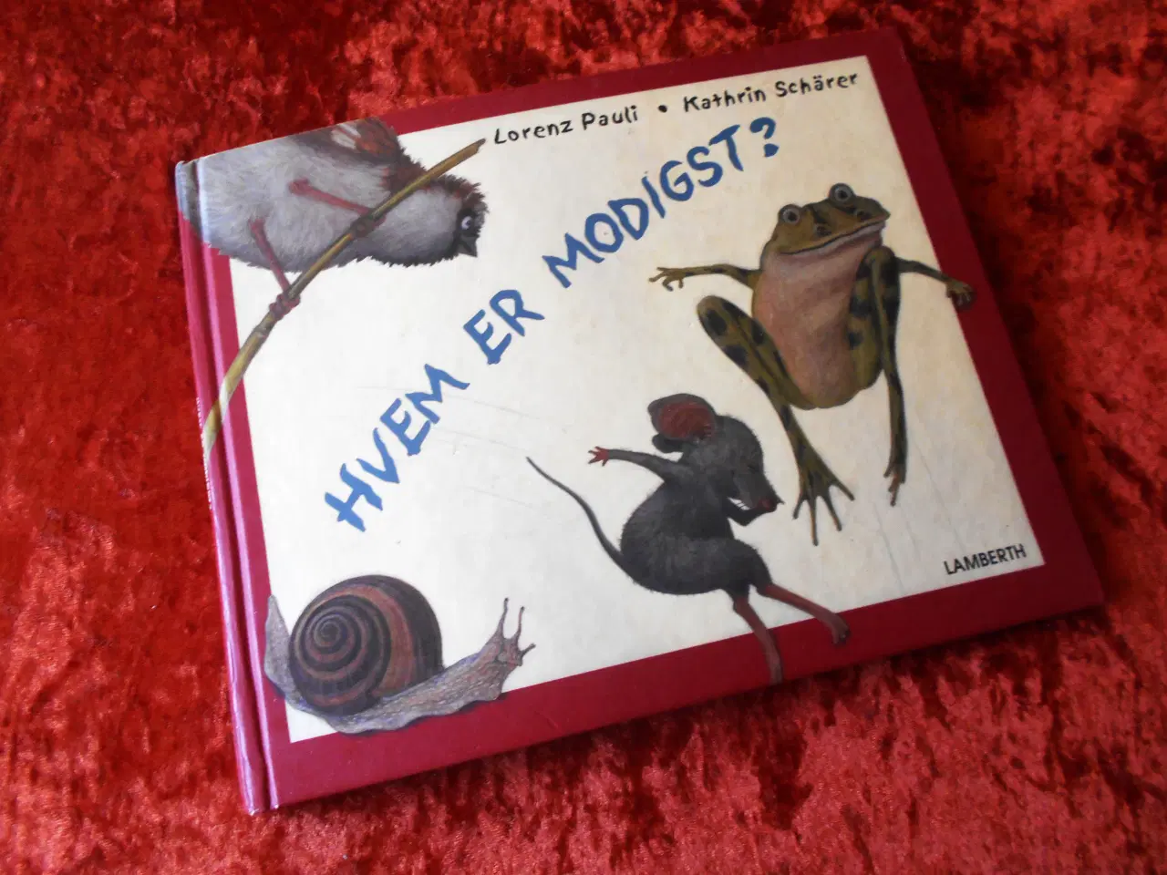 Billede 1 - Hvem er modigst?, Lorenz Pauli,