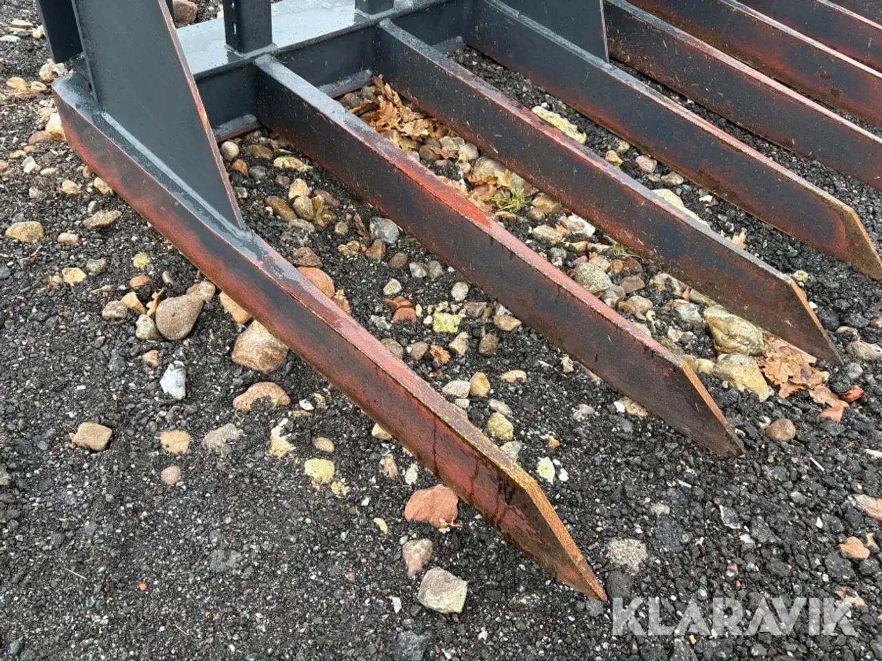 Billede 9 - Græsgrev