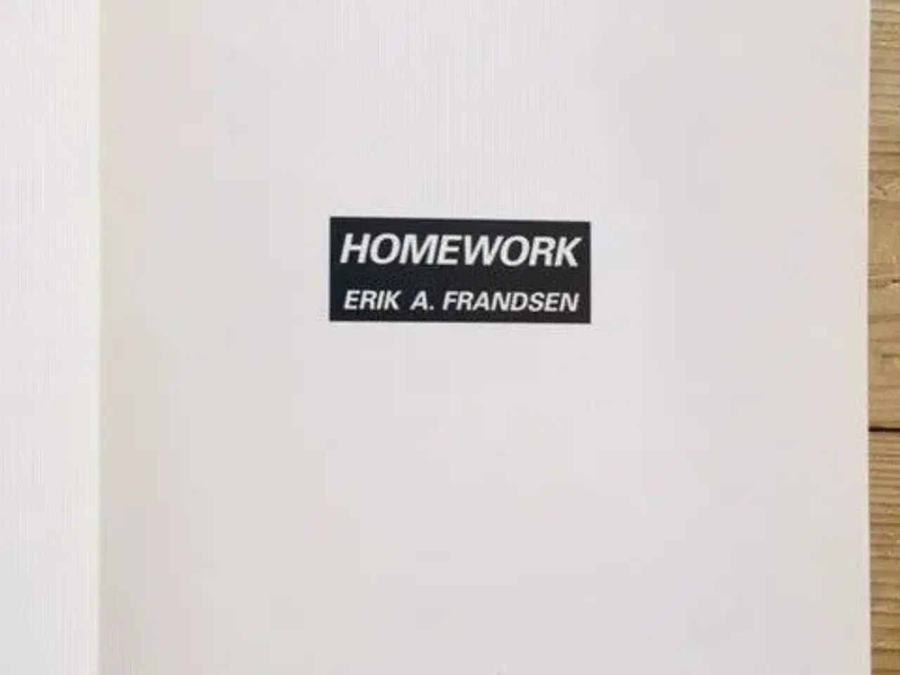 Billede 2 - Homework (2000) - Erik A. Frandsen