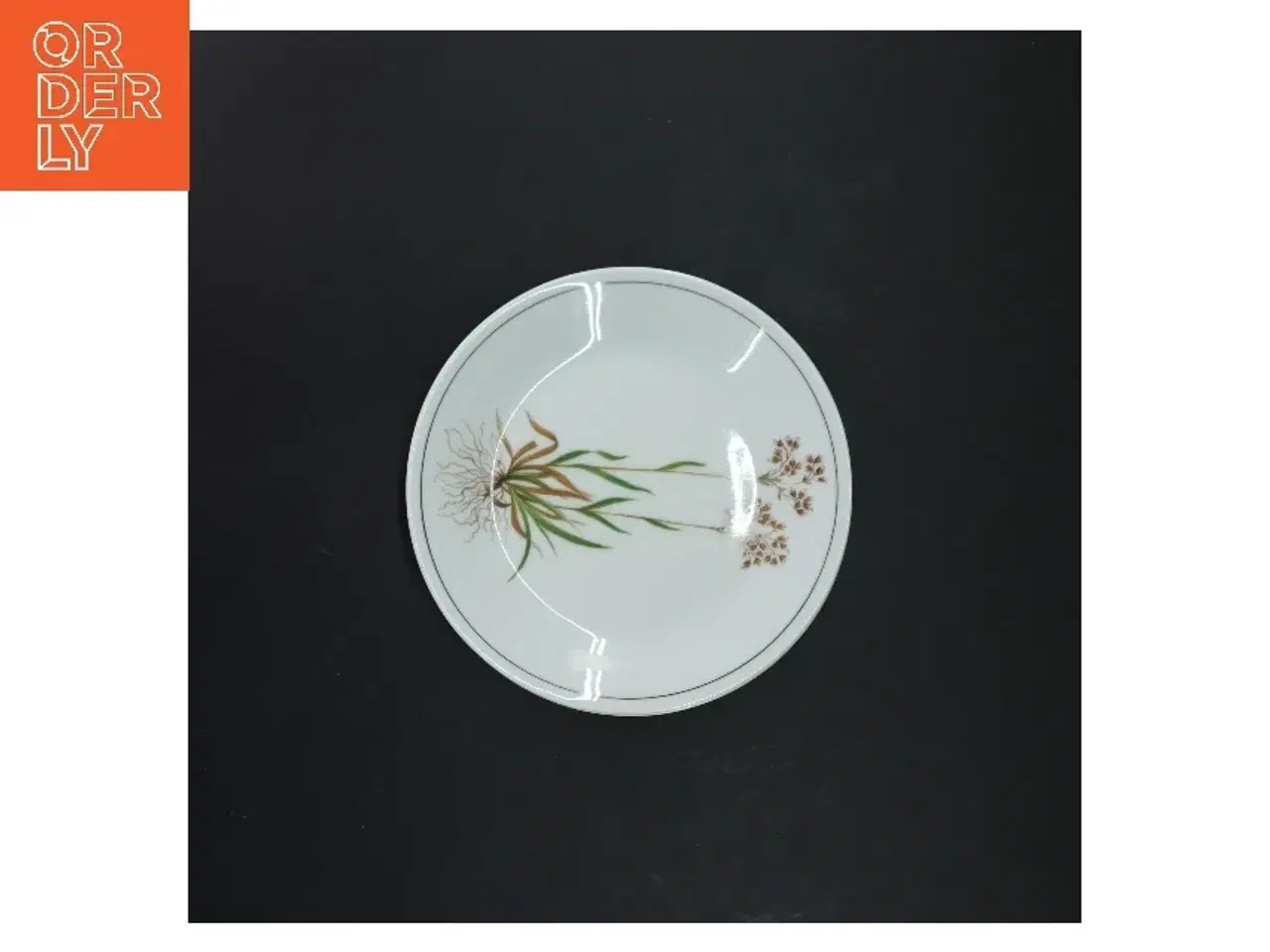 Billede 2 - Porcelænstallerkener med blomstermotiv fra Royal Tettau (str. Ø 17 cm)