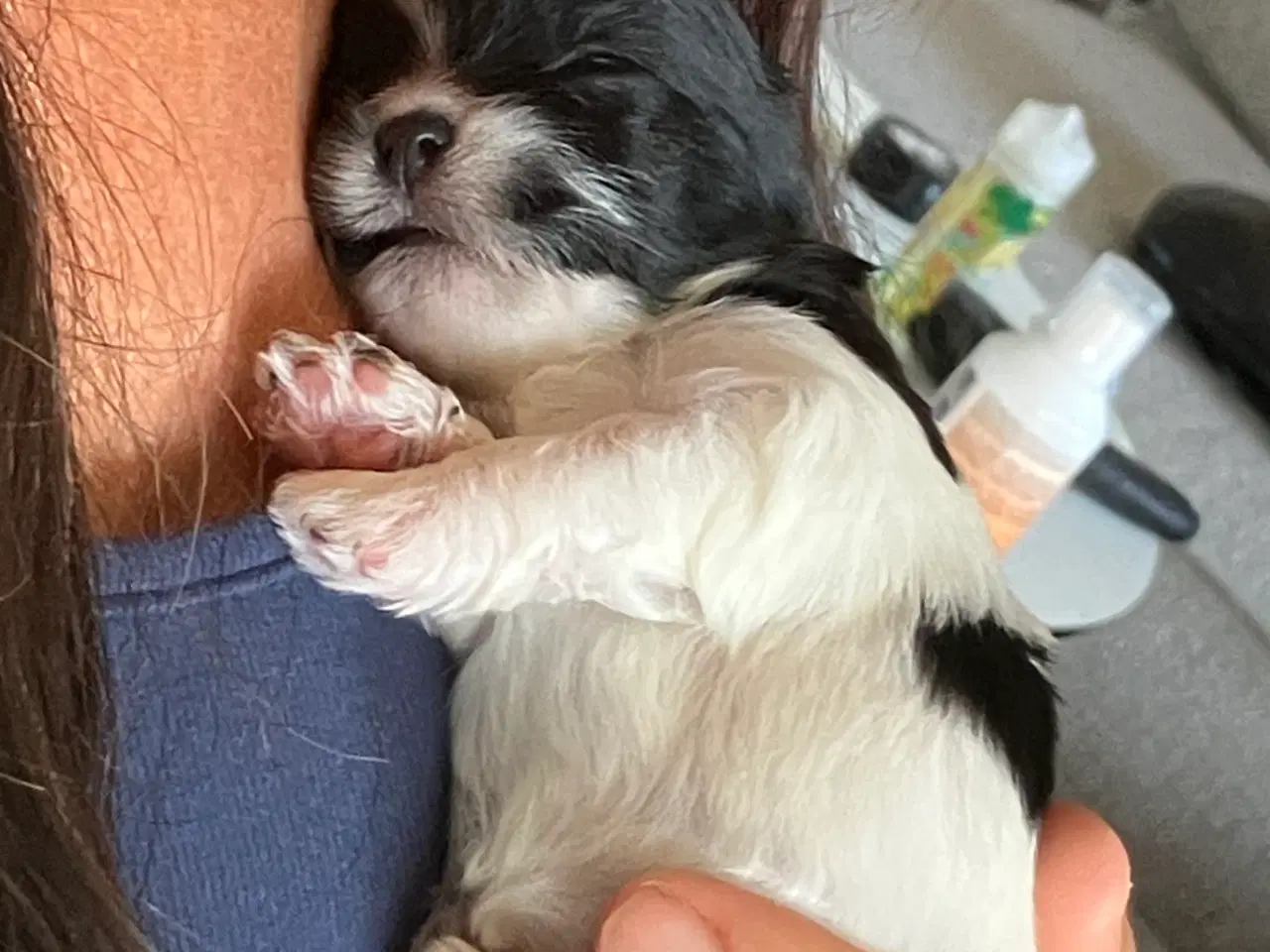 Billede 2 - Mini boomer 
