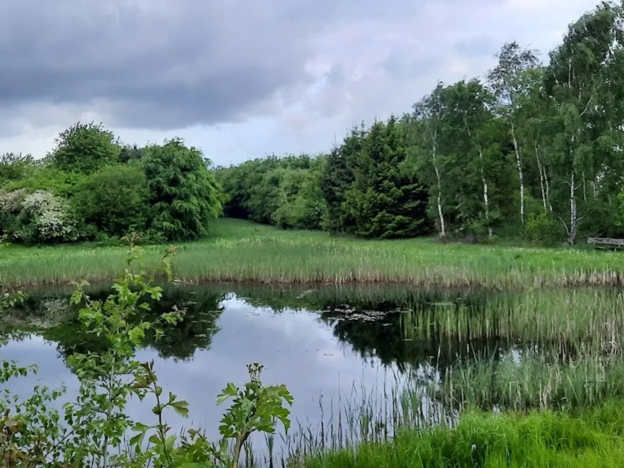 Billede 1 - Jagt ejendom på 11,2Ha, særligt natur og egen sø.