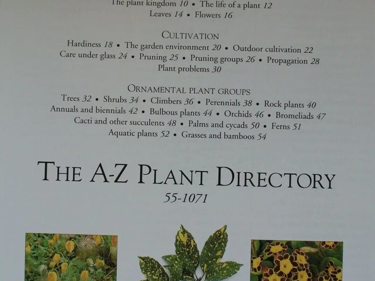 Billede 3 - a-z encyclopedia of garden plants, edited by chris