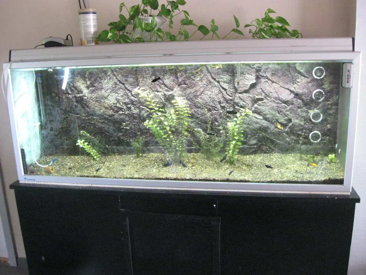Billede 2 - 525 L Akvarie med med bord