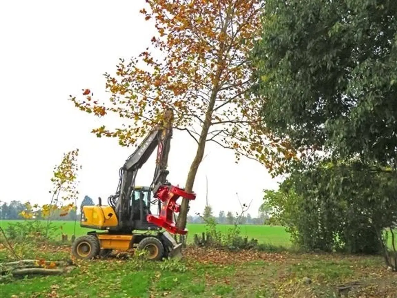 Billede 4 - CMB PW350 FÆLDEHOVED, TRÆKLIPPER, TREECUT