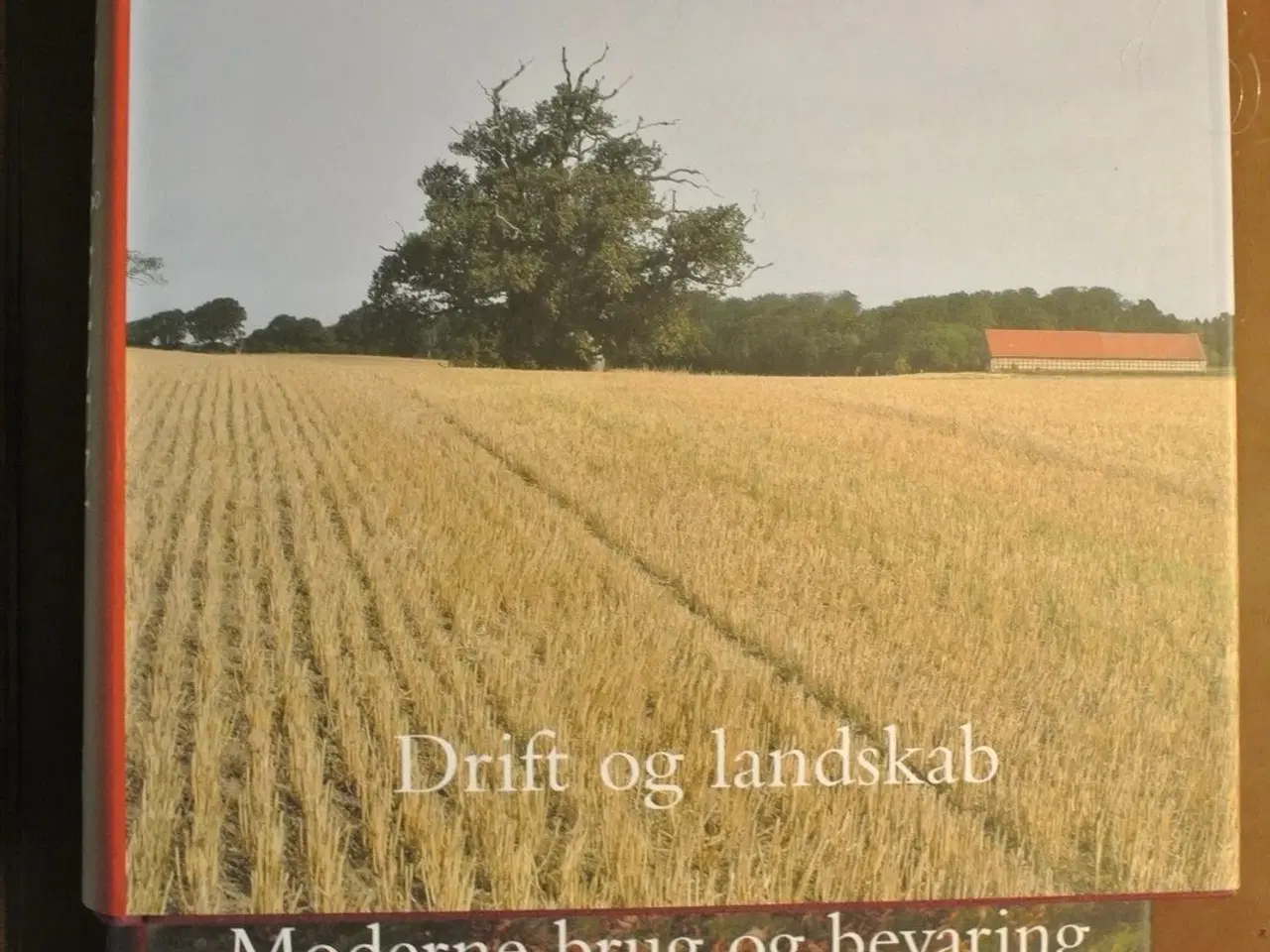 Billede 3 - herregården 1-4. 1. gods og samfund. 2. anlæg, int