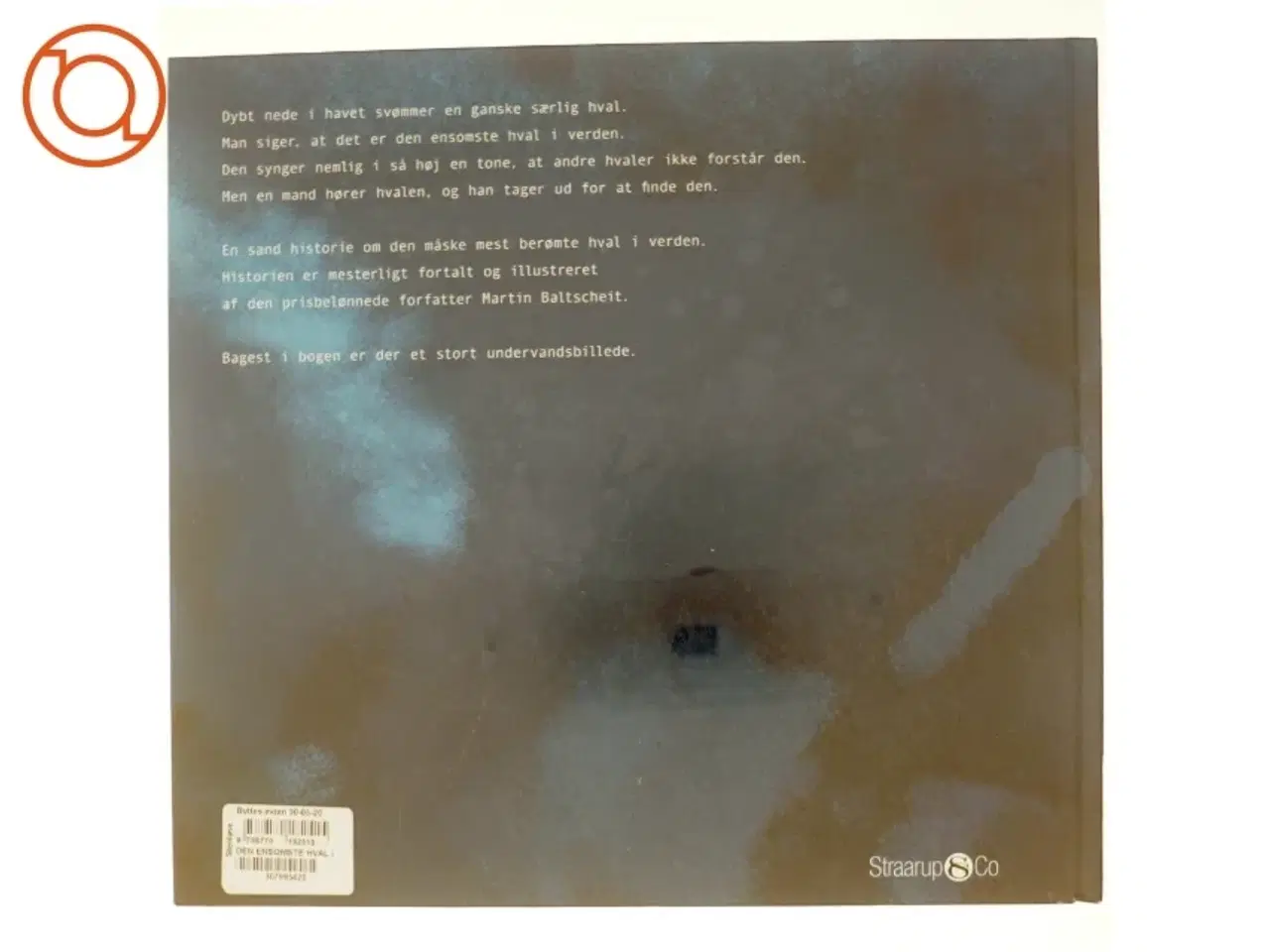 Billede 3 - Den ensomste hval i verden
