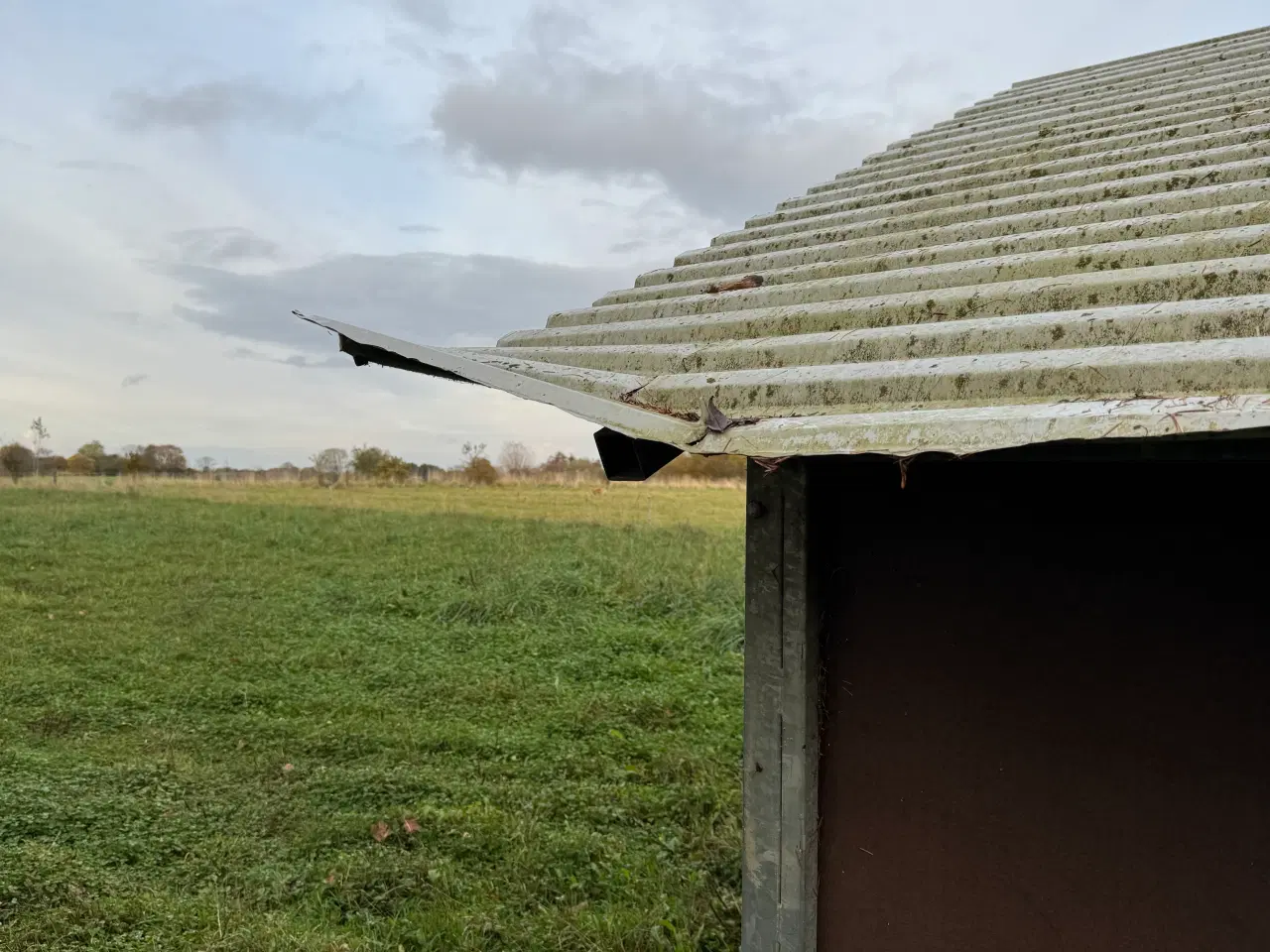 Billede 6 - Hesteskur