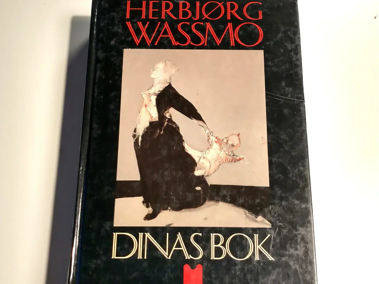 Billede 1 - Dinas bok (Norsk). Af Herbjorg Wassmo
