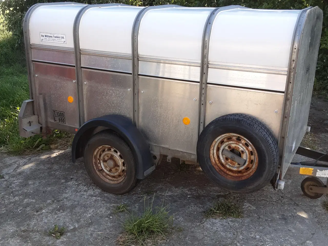 Billede 7 - Ifor Williams dyretransporter 