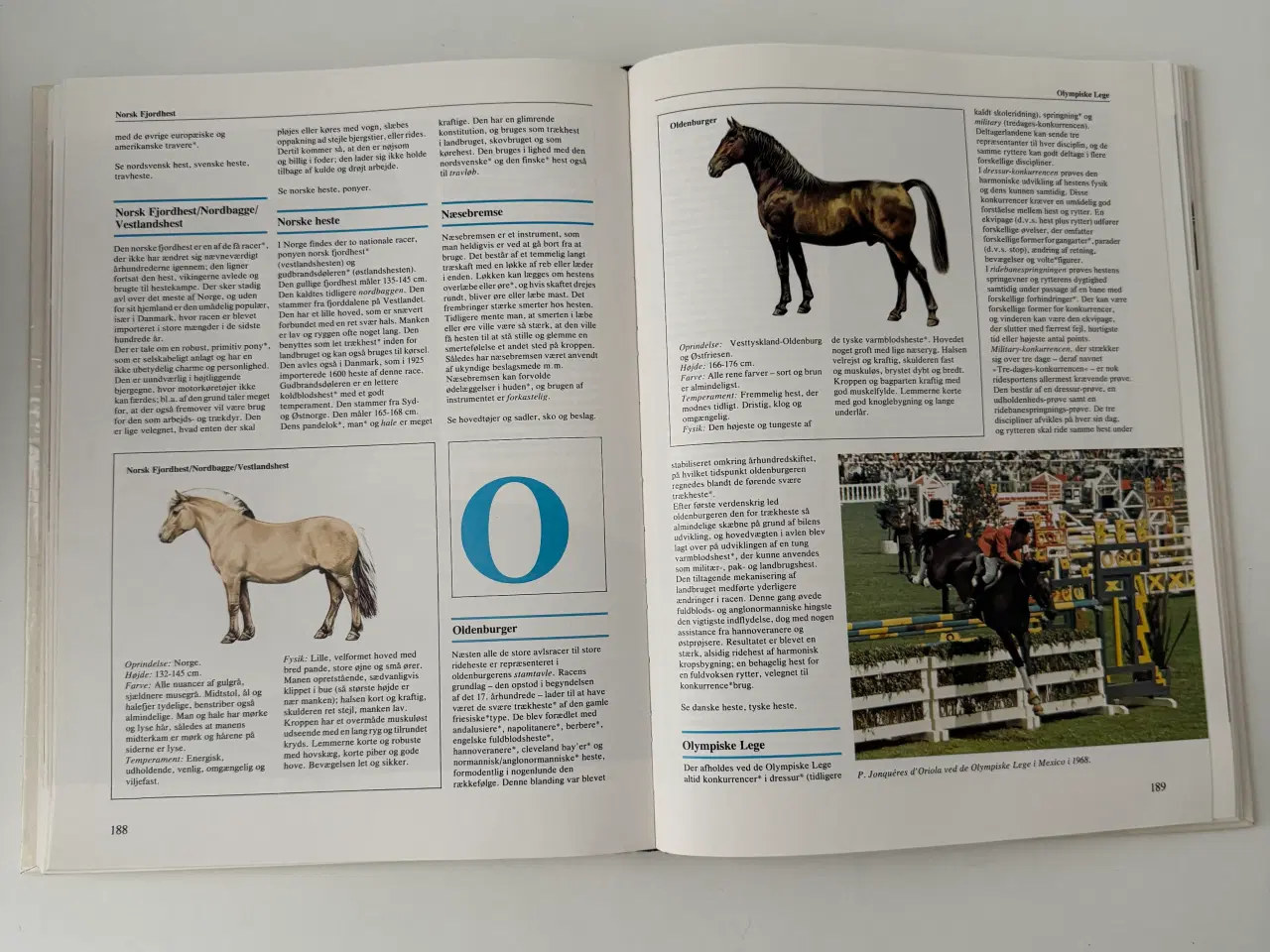Billede 6 - Lademanns Hesteleksikon - Ridehåndbog