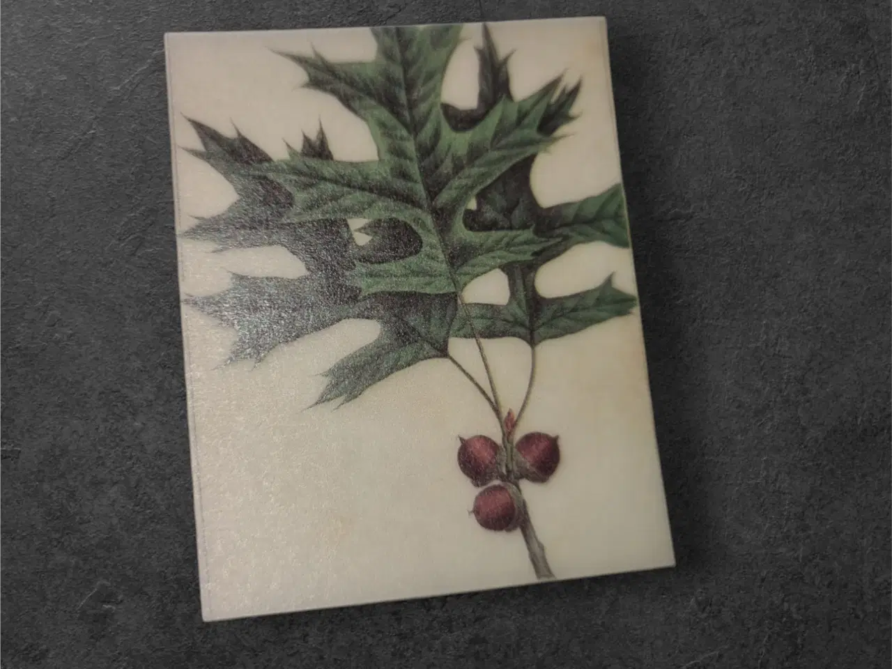 Billede 1 - Botanisk mini-tryk: Oak Leaf Serenity